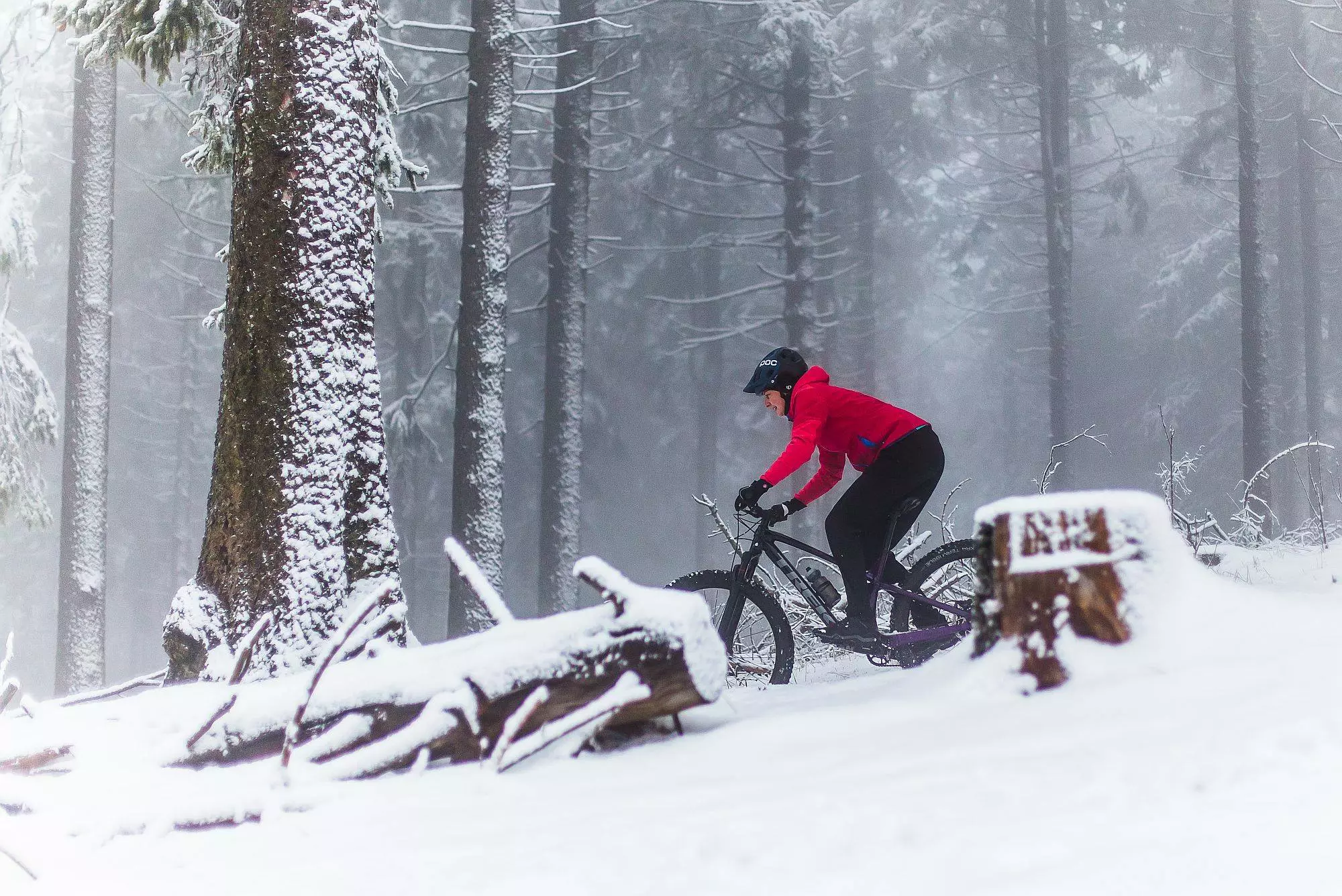 Cykeltasker Salg -Cykeltasker Salg 147681448 3973785612652442 1360235826666268607 n