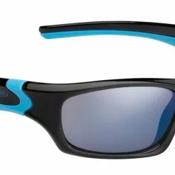 Solbrille Alpina Flexxy Teen Sort/Blå